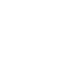 FORD-01